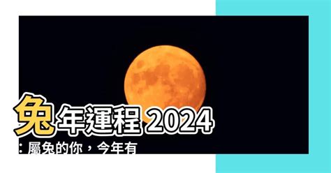 2024 兔年運程